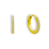 Αιώνια Σκουλαρίκια